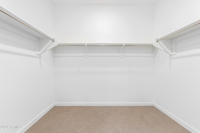 walk in closet with carpet