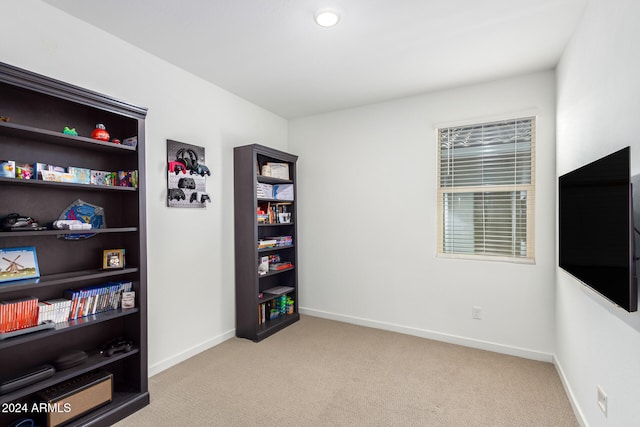 miscellaneous room featuring light carpet