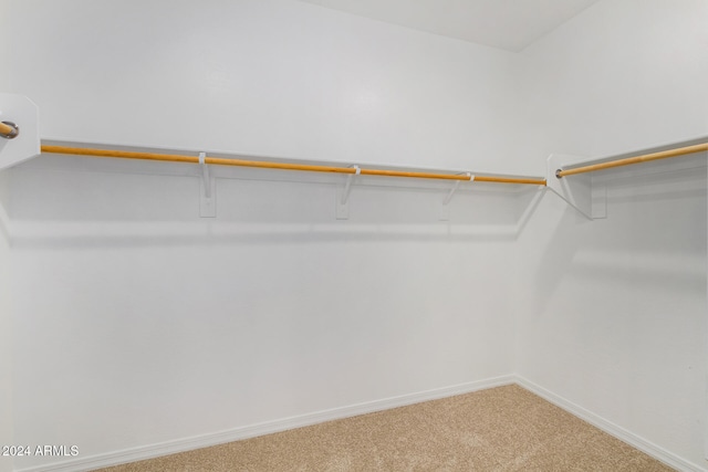 walk in closet with carpet flooring