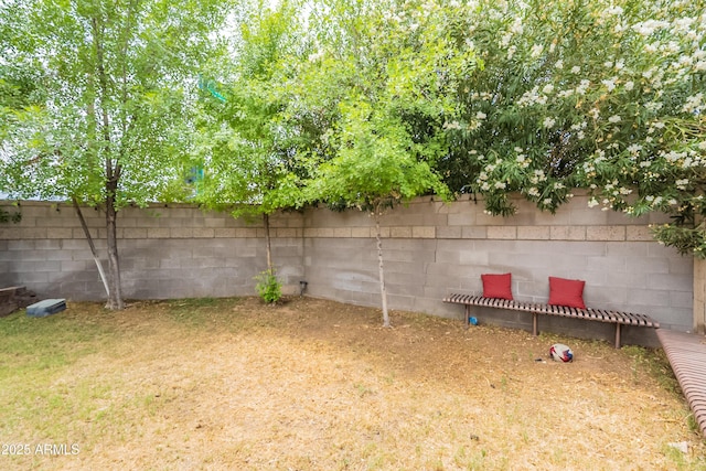 10601 N 36th St, Phoenix, AZ 85028 - view of fenced backyard