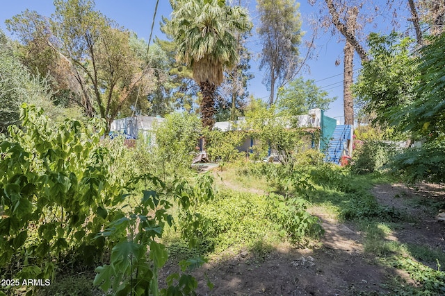 3303 E Clarendon Ave, Phoenix, AZ 85018 - view of yard