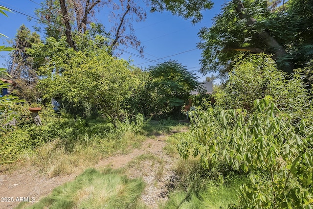 3303 E Clarendon Ave, Phoenix, AZ 85018 - view of undeveloped land