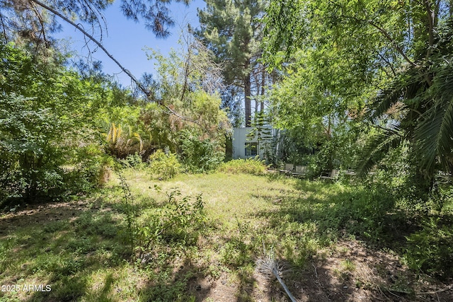 3303 E Clarendon Ave, Phoenix, AZ 85018 - view of yard with a view of trees