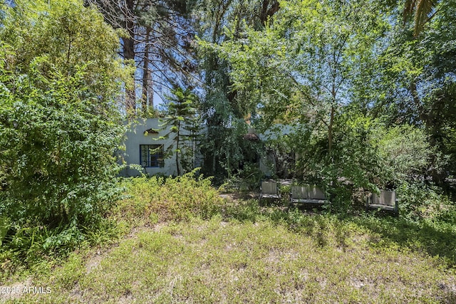 3303 E Clarendon Ave, Phoenix, AZ 85018 - view of yard