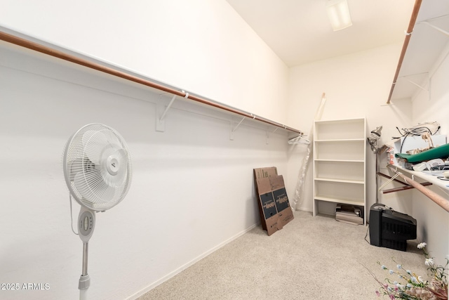 spacious closet with light carpet