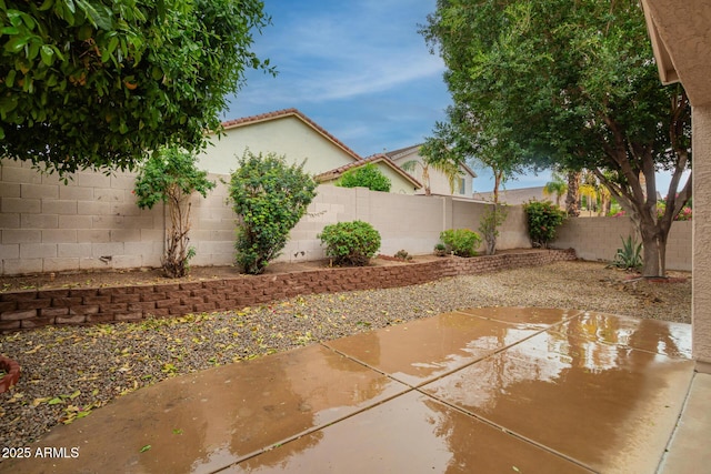 view of yard featuring a patio and a fenced backyard