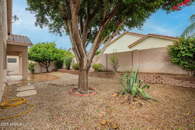 view of yard with a fenced backyard and a patio area