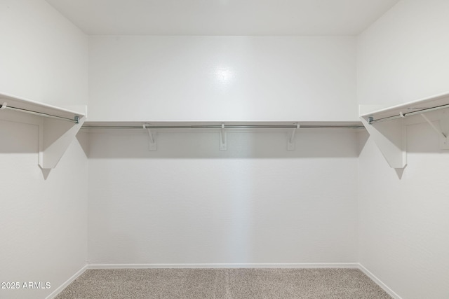 25235 N 183rd Dr, Wittmann, AZ 85361 - walk in closet featuring carpet flooring