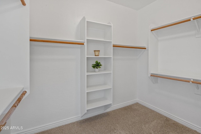 7758 E Nestling Way, Scottsdale, AZ 85255 - spacious closet featuring carpet floors