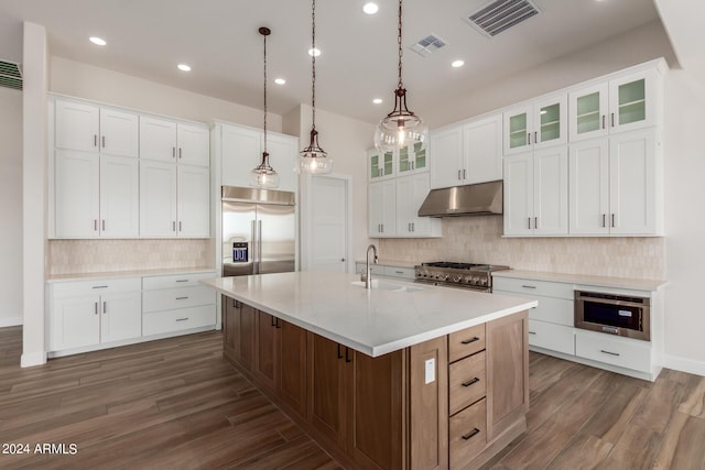 kitchen featuring high end appliances, glass insert cabinets, white cabinetry, a large island with sink, and under cabinet range hood