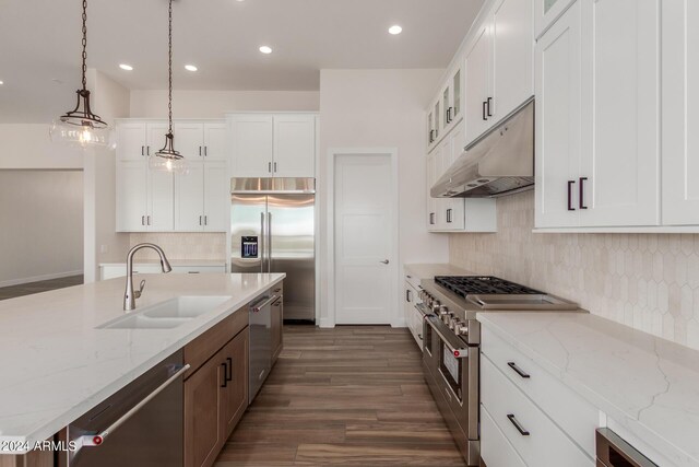 kitchen featuring premium appliances, a sink, glass insert cabinets, and under cabinet range hood