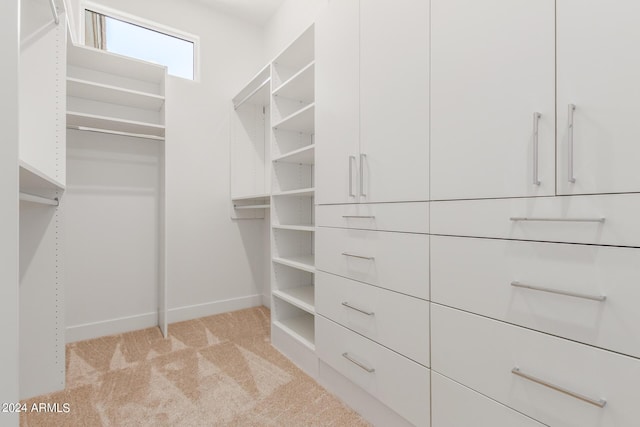 walk in closet with light colored carpet