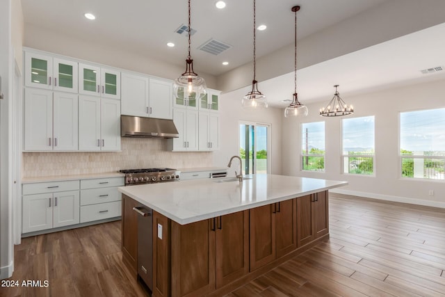 kitchen with glass insert cabinets, white cabinetry, under cabinet range hood, and an island with sink