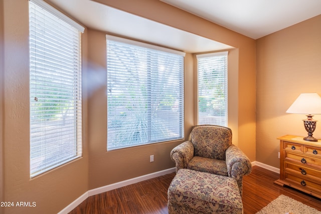 living area with dark hardwood / wood-style flooring