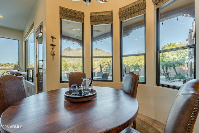 dining room with a wealth of natural light