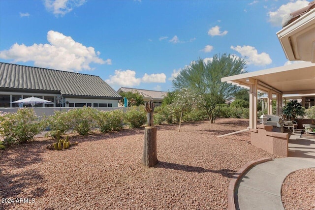 view of yard featuring a patio