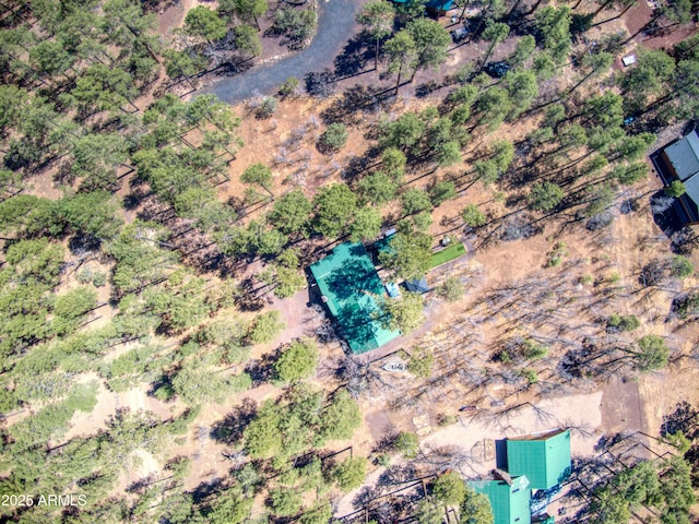 669 W Monarch Cir, Lakeside, AZ 85929 - birds eye view of property