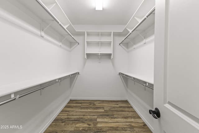walk in closet with dark hardwood / wood-style floors