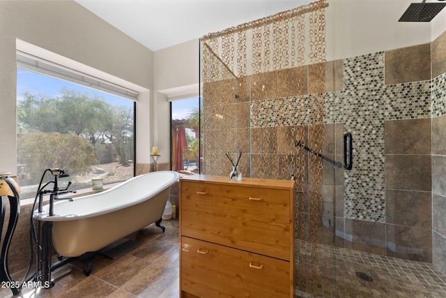 29806 N 43rd Pl, Cave Creek, AZ 85331 - bathroom featuring a shower stall, a soaking tub, and a healthy amount of sunlight