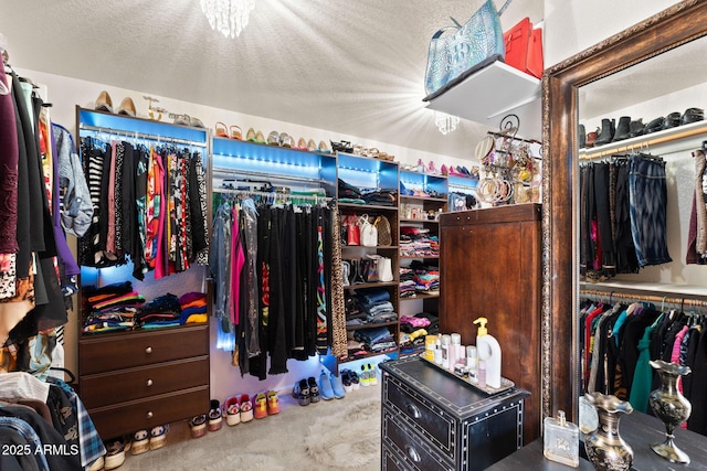 29806 N 43rd Pl, Cave Creek, AZ 85331 - walk in closet with carpet flooring