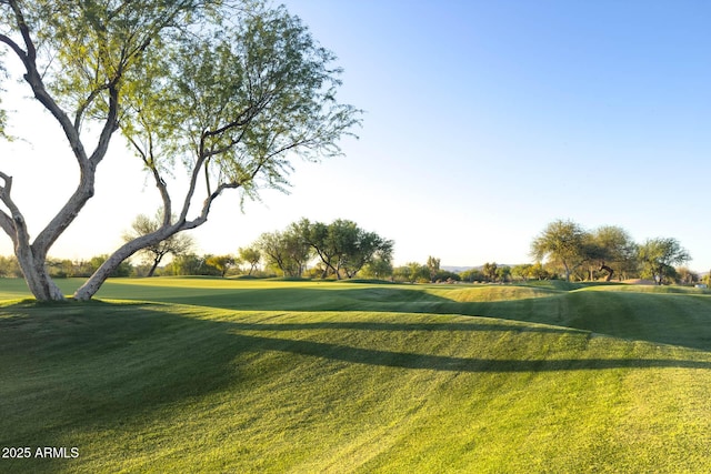 29806 N 43rd Pl, Cave Creek, AZ 85331 - view of home's community featuring golf course view and a lawn