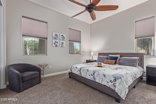 4876 N 207th Ln, Buckeye, AZ 85396 - bedroom with baseboards, multiple windows, and carpet