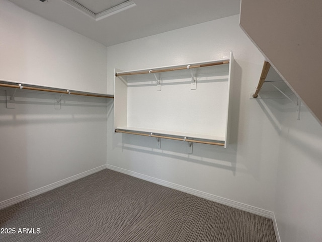 6947 W Spur Dr, Peoria, AZ 85383 - walk in closet with carpet