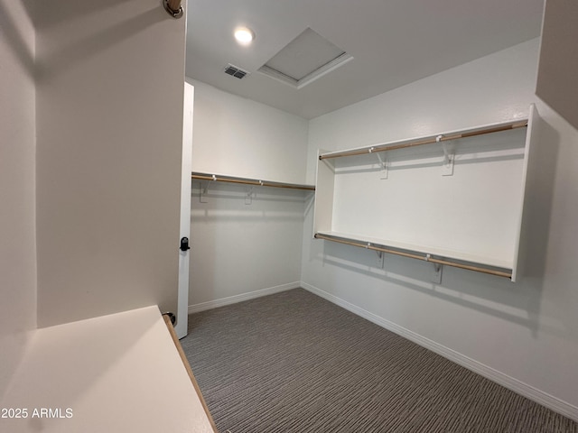 6947 W Spur Dr, Peoria, AZ 85383 - walk in closet featuring carpet floors and attic access