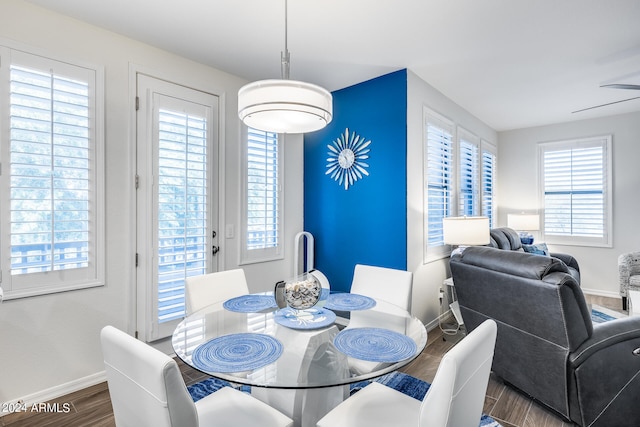 dining space featuring a wealth of natural light and dark hardwood / wood-style flooring