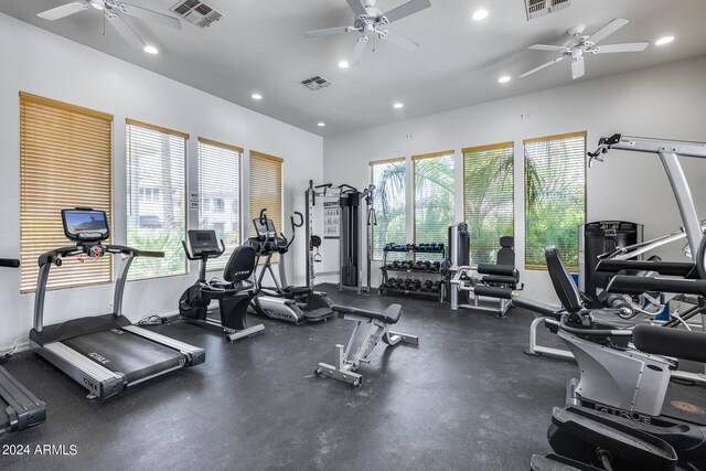 workout area with ceiling fan and a healthy amount of sunlight