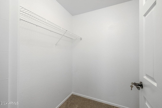6321 S Teresa Dr, Chandler, AZ 85249 - walk in closet with dark carpet