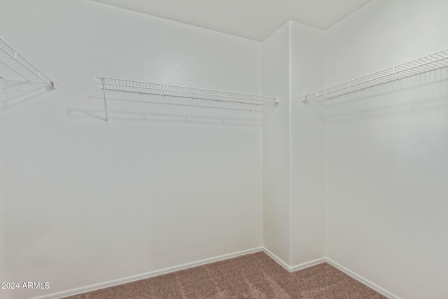 6321 S Teresa Dr, Chandler, AZ 85249 - walk in closet with carpet flooring