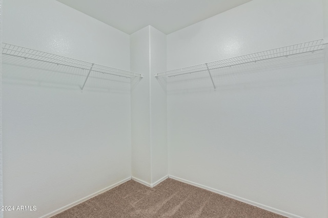 6321 S Teresa Dr, Chandler, AZ 85249 - spacious closet with carpet