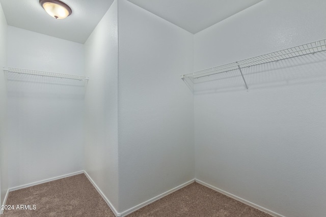 6321 S Teresa Dr, Chandler, AZ 85249 - spacious closet with carpet