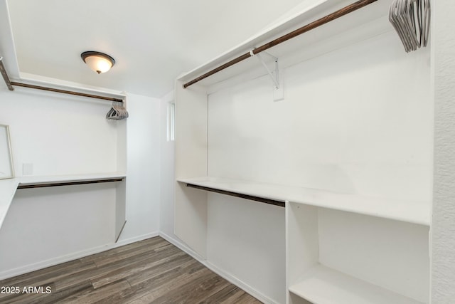 spacious closet featuring wood finished floors