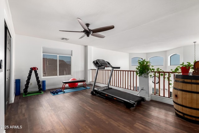 exercise area featuring ceiling fan and dark hardwood / wood-style floors