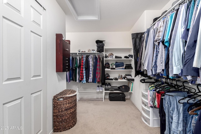 spacious closet featuring light carpet