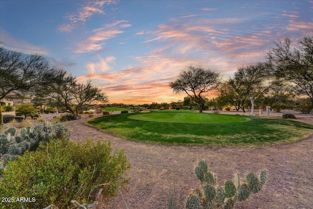 2744 S First Water Ln, Gold Canyon, AZ 85118 - view of home's community with a lawn