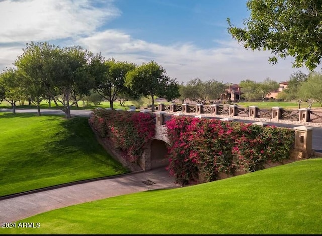 2744 S First Water Ln, Gold Canyon, AZ 85118 - surrounding community featuring a lawn