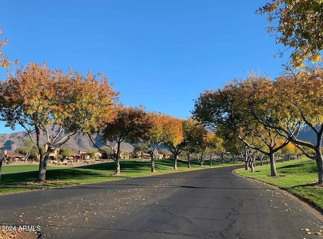 2744 S First Water Ln, Gold Canyon, AZ 85118 - view of road