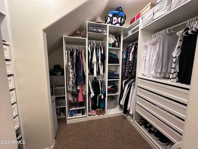 spacious closet featuring carpet floors