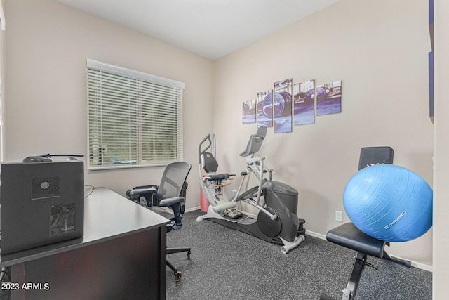 office with dark colored carpet