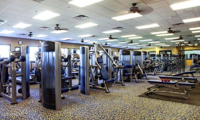 exercise room featuring ceiling fan, a drop ceiling, and dark carpet