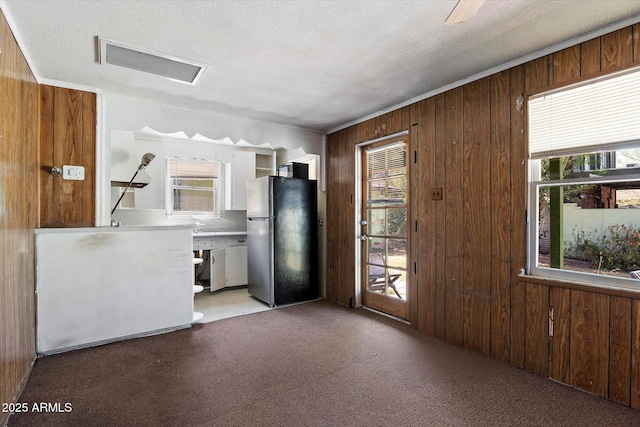 2230 N 12th St Rear, Rear, Phoenix, AZ 85006 - unfurnished living room with wood walls, plenty of natural light, carpet, and a textured ceiling