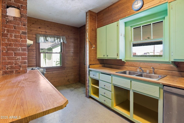 2230 N 12th St Rear, Rear, Phoenix, AZ 85006 - kitchen featuring green cabinetry, a sink, stainless steel dishwasher, wooden walls, and light countertops