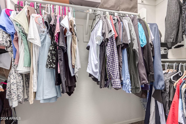 view of walk in closet