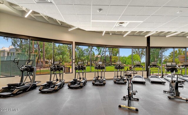 exercise room featuring a healthy amount of sunlight and a paneled ceiling