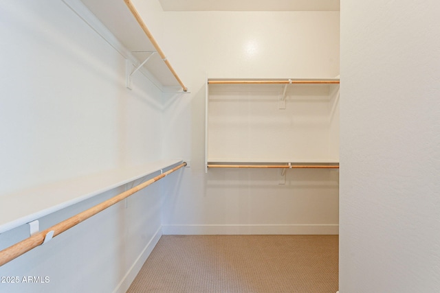 spacious closet with light carpet