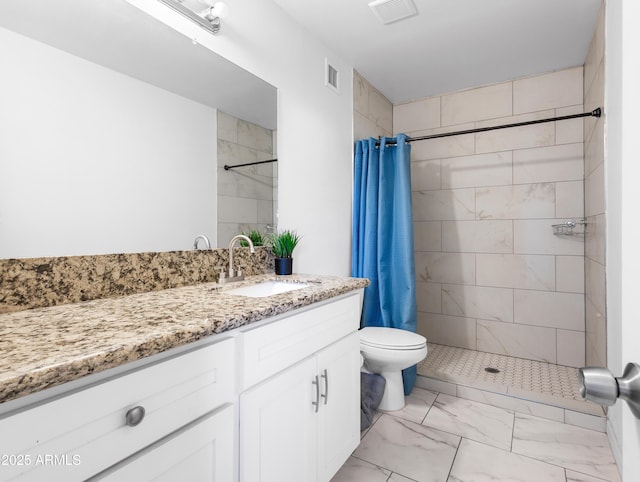 bathroom with vanity, toilet, and a shower with shower curtain