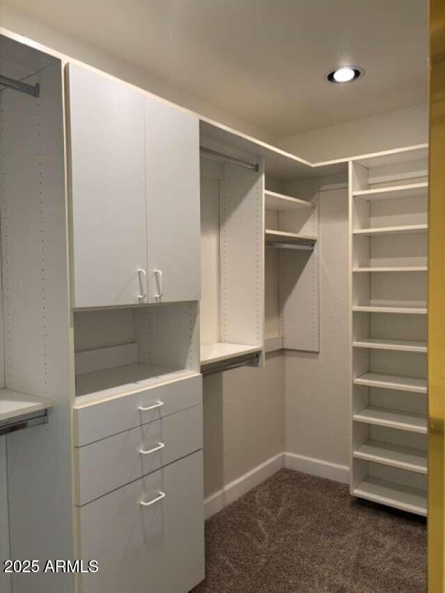 spacious closet featuring dark colored carpet